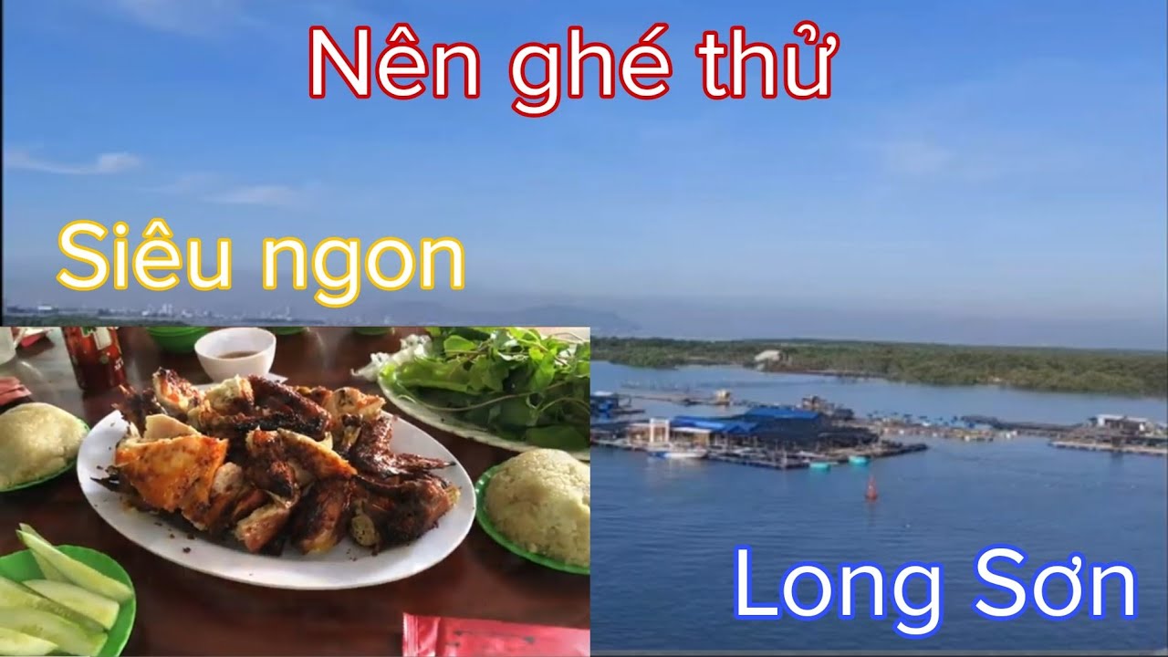 Sơn Thủy Ngư Quán - Thiên đường cá cảnh dành cho bạn Gallery 2