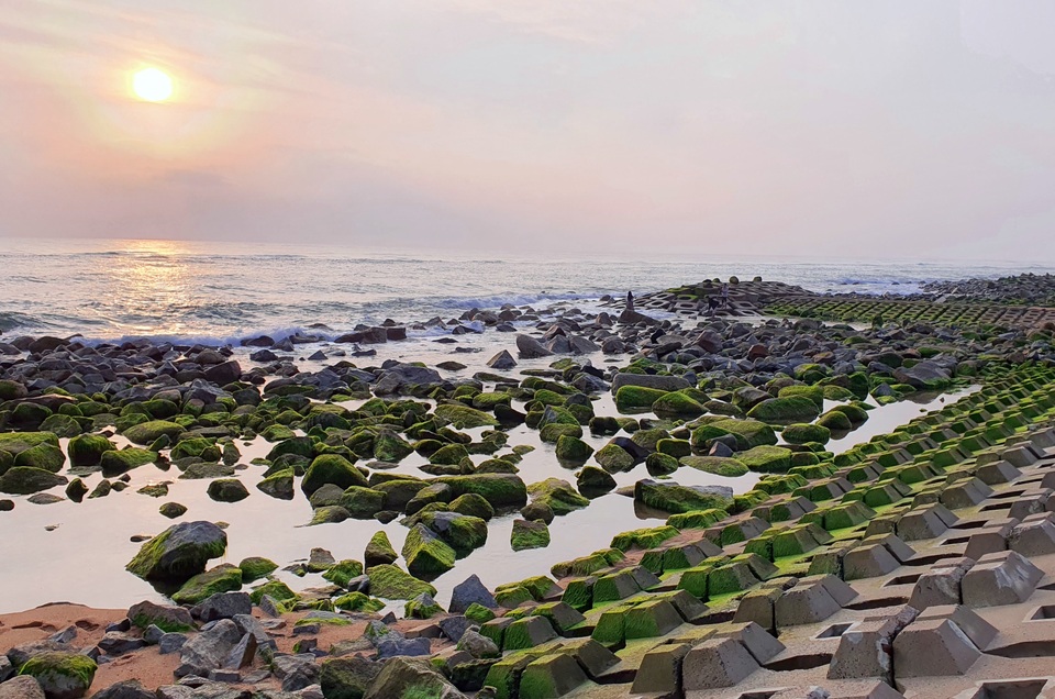 Bãi Rêu Phú Yên - Thiên Đường Hoang Sơ Giữa Biển Xanh Gallery 2