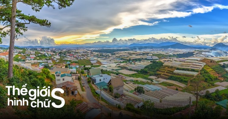 Tus Đà Lạt: Review chi tiết, kinh nghiệm săn ảnh đẹp và đặt phòng Gallery 2