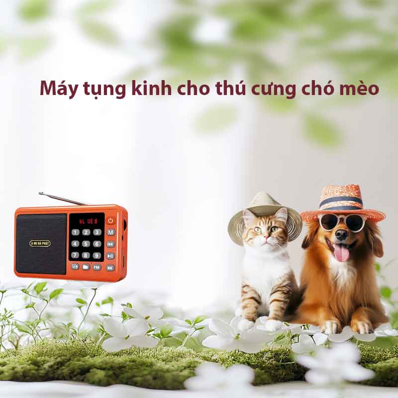 Kinh Siêu Thoát Cho Chó Gallery 2
