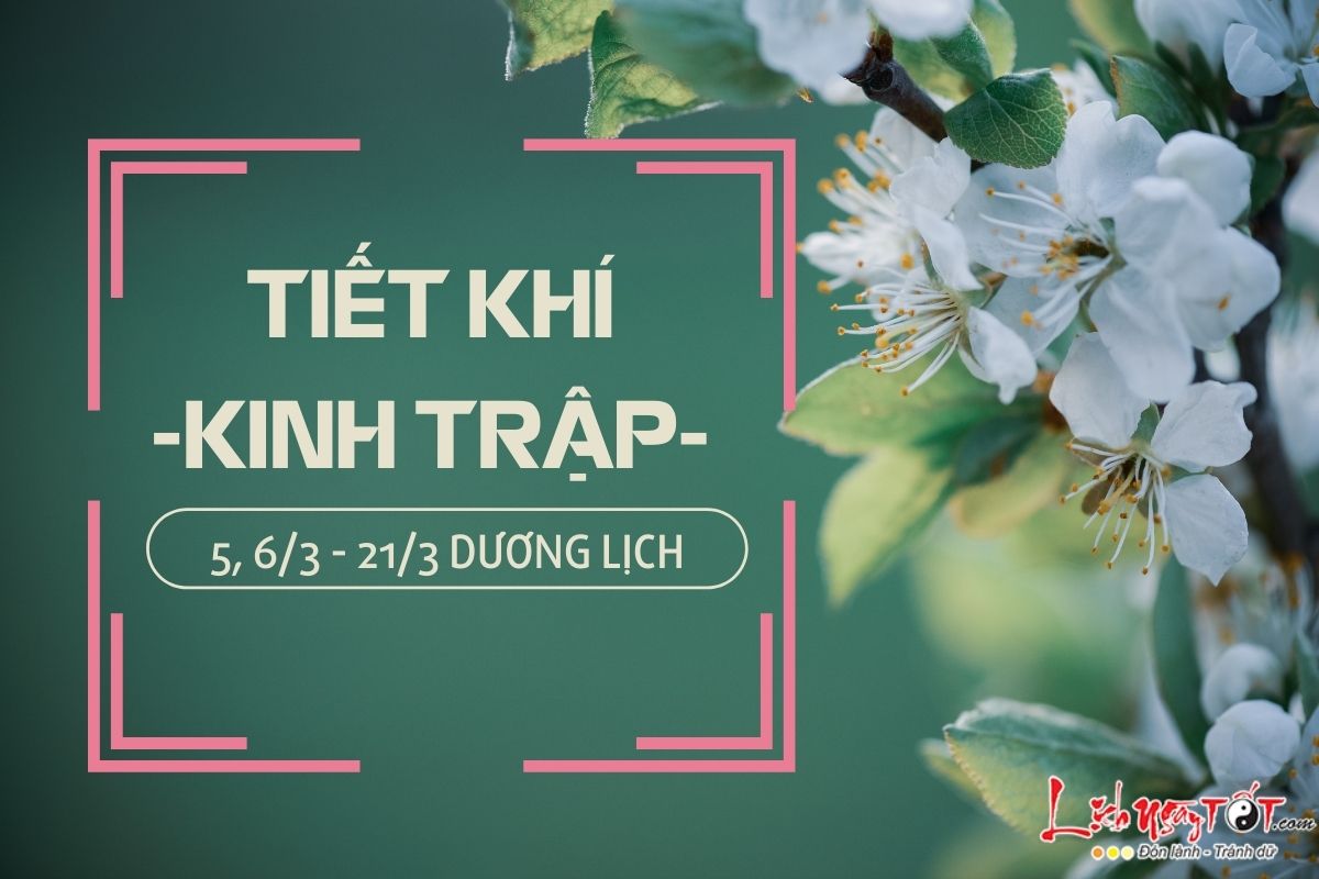 Kinh Trập Là Gì?