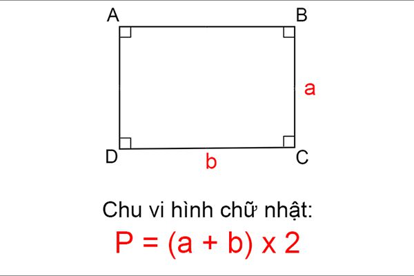 Ký hiệu chu vi hình chữ nhật