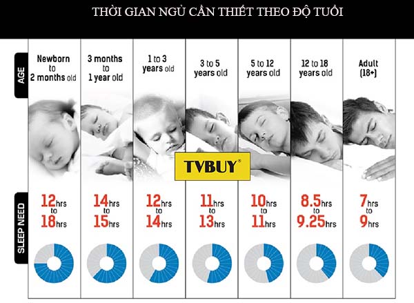 Năm Mười Bảy Tuổi: Khám Phá Tuổi Teen Thú Vị Gallery 2