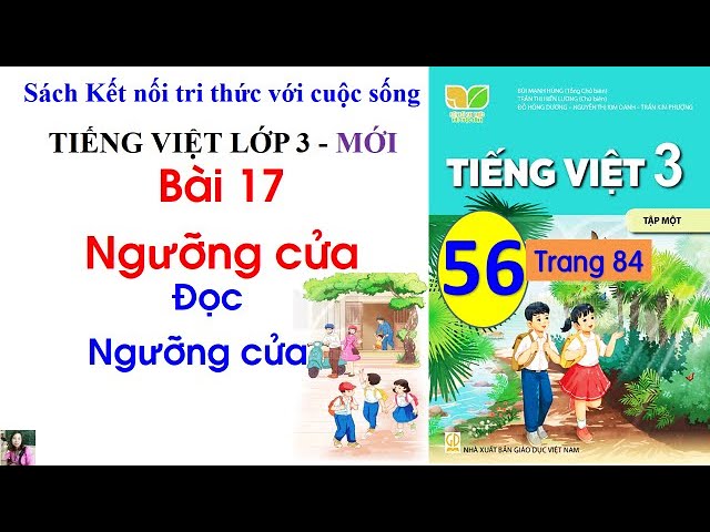 Ngưỡng Cửa Lớp 3 Kết Nối Tri Thức: Chuẩn bị hành trang vào lớp 3 Gallery 2