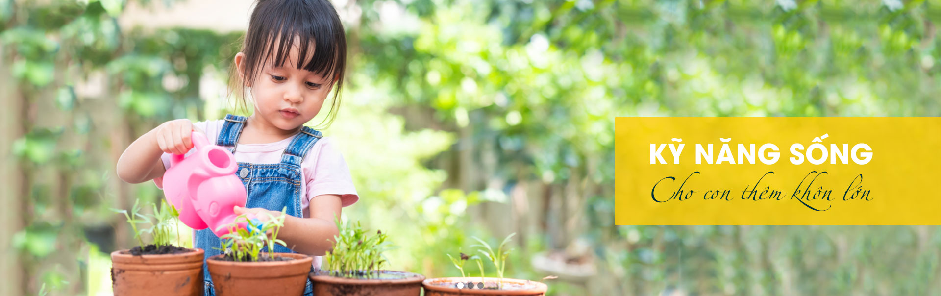 Kỹ năng sống Việt: Hướng dẫn toàn diện