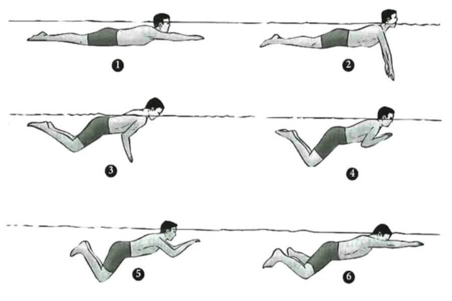 Kỹ thuật bơi ếch cơ bản