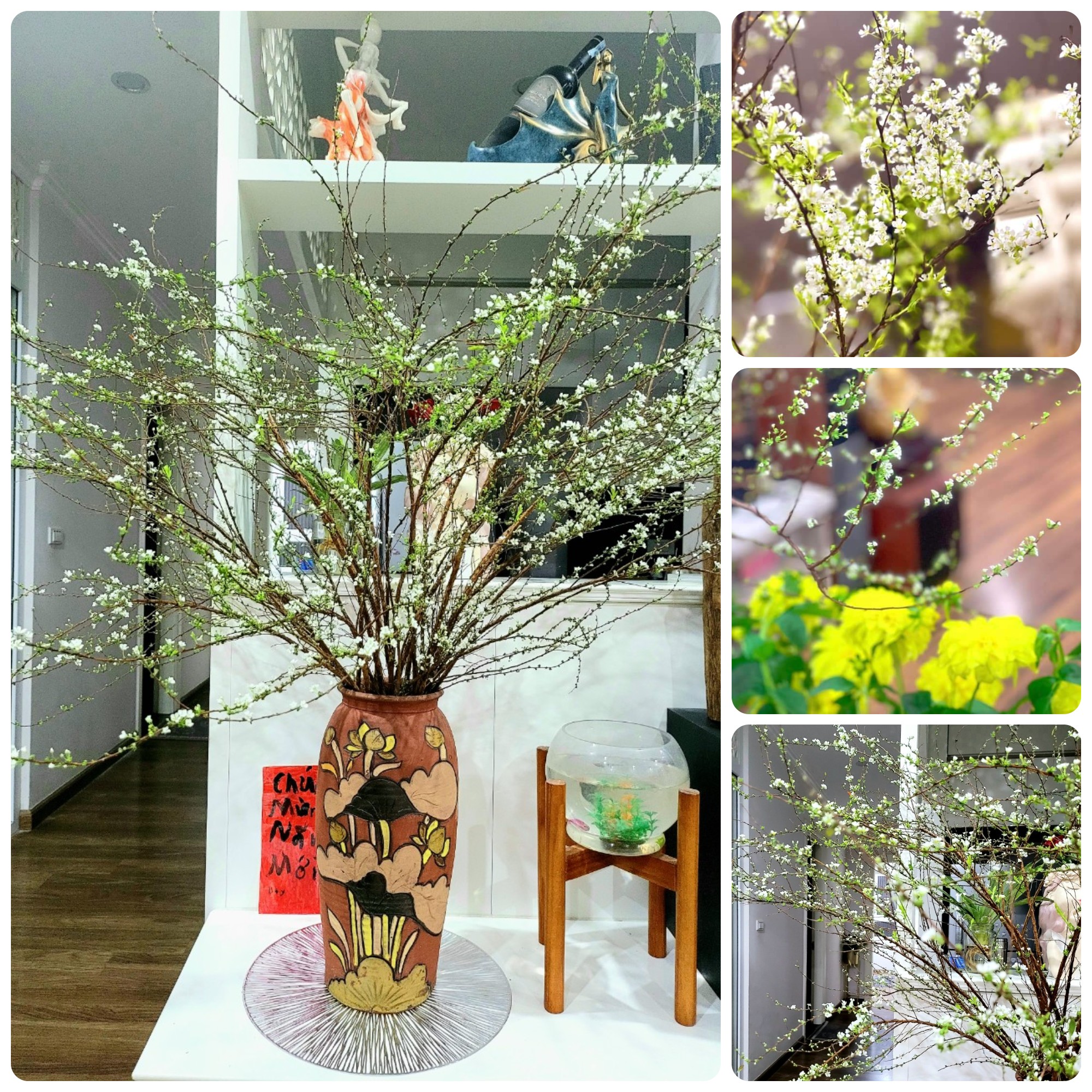 Cắm Tuyết Mai Đẹp Gallery 2