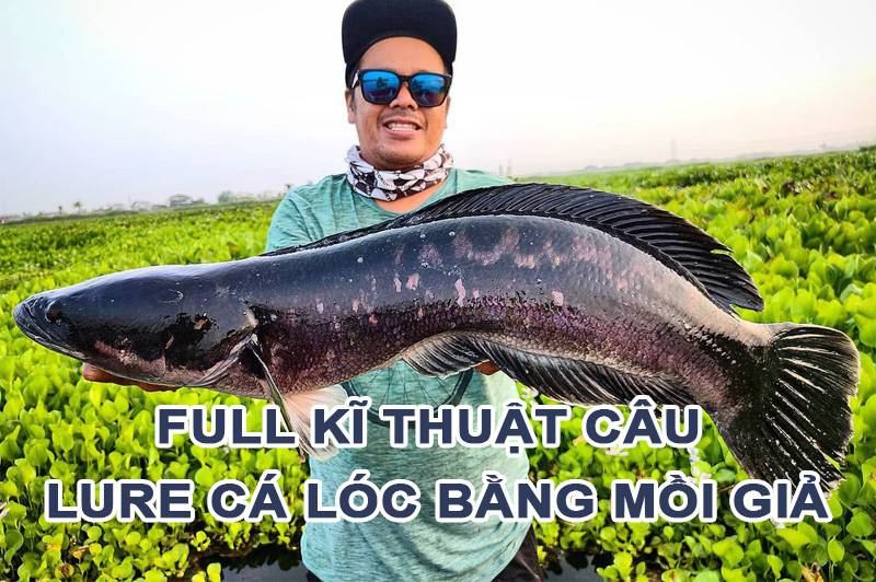 Cách Câu Cá Lóc Bằng Nhái Hiệu Quả Gallery 2