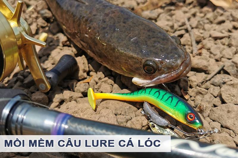 Nhái Câu Cá Lóc: Bí Kíp Thành Công Gallery 2