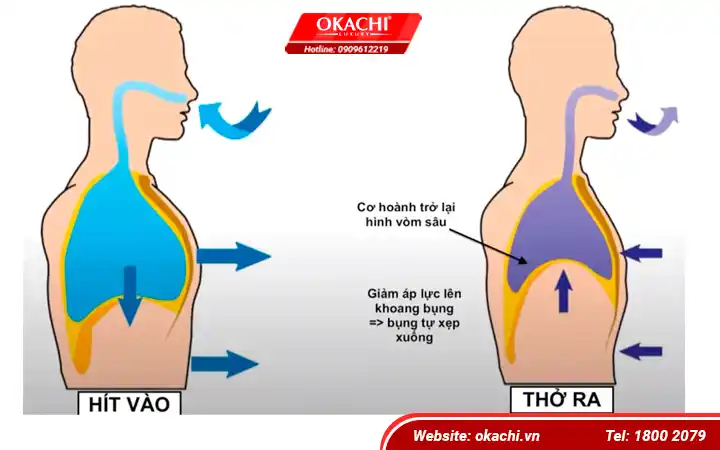 Hít Cổ: Lợi Ích, Kỹ Thuật Và Những Điều Cần Lưu Ý Gallery 2