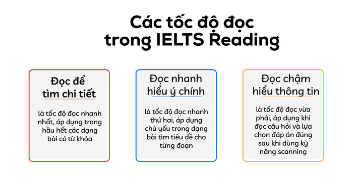 Test Đọc Hiểu: Cách Làm Bài & Bí Quyết Thành Công Gallery 1