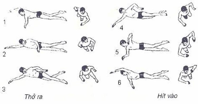 Hướng dẫn bơi sải chi tiết, dễ hiểu dành cho người mới bắt đầu Gallery 2