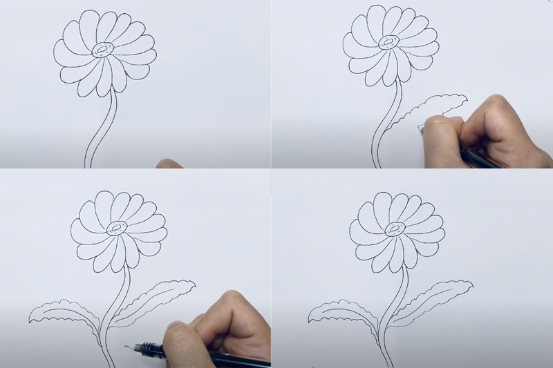 Vẽ Hoa Cúc Trắng Gallery 2
