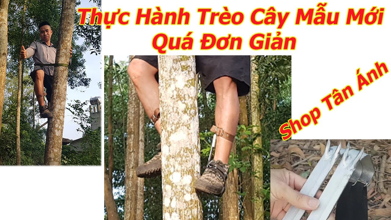Trèo Cao Gallery 1