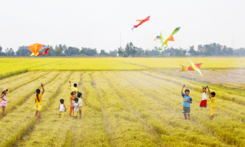 Tuổi thơ tôi bát ngát cánh đồng Gallery 2