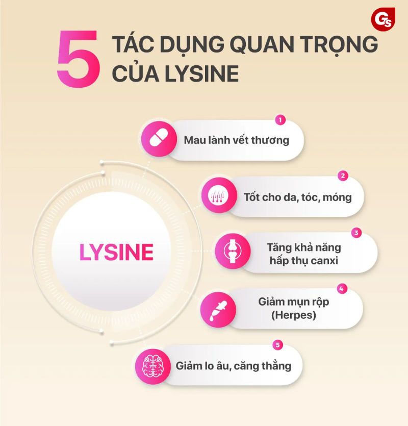 L-Lysine HCL có tác dụng gì?