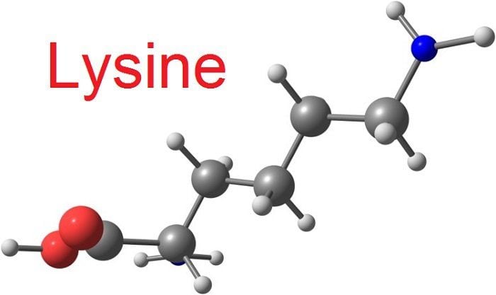 L-Lysine là gì?