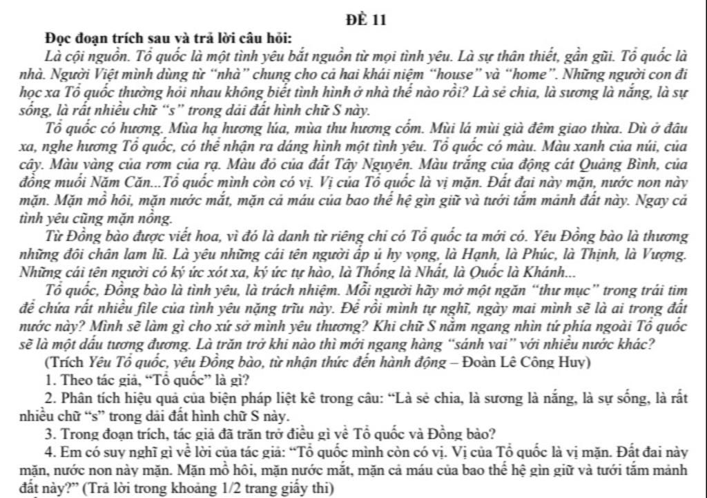Cội nguồn Tổ quốc là một tình yêu bắt nguồn từ mọi tình yêu