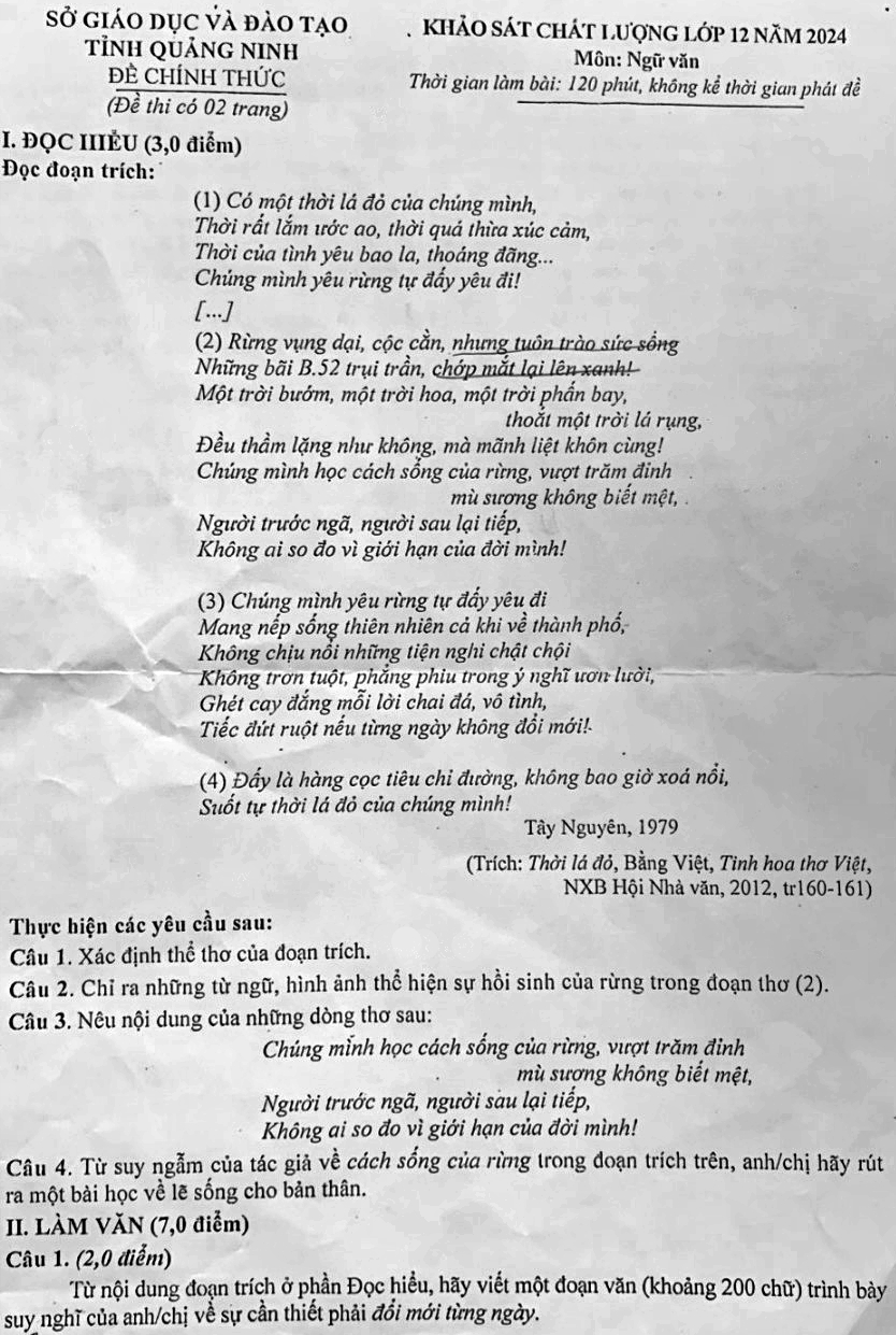 Lá Đỏ Đọc Hiểu