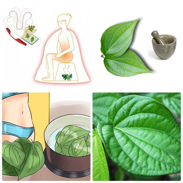 Lá Trầu Không Có Tác Dụng Gì Với Vùng Kín