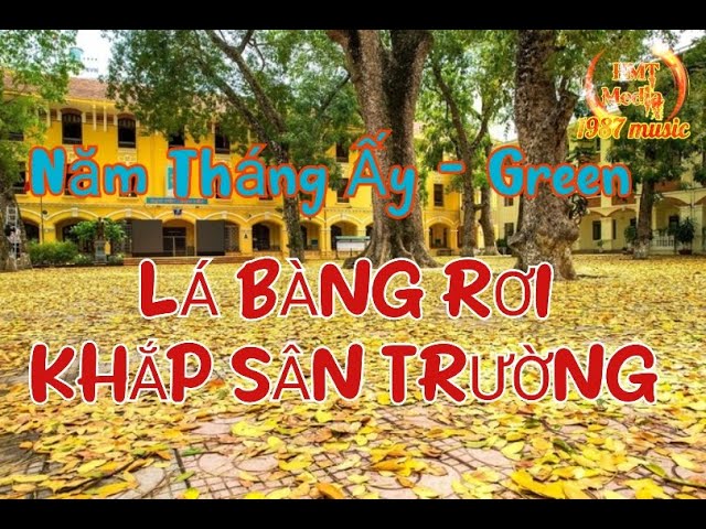 Lá Vàng Rơi Khắp Sân Trường