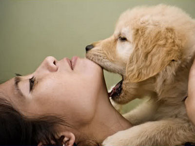 Làm chuyện ấy với chó