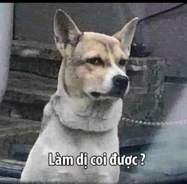 Làm Dị Coi Được Meme