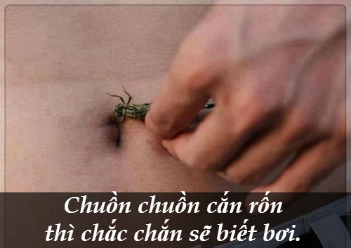 Bị Chuồn Chuồn Cắn Có Sao Không? Gallery 2