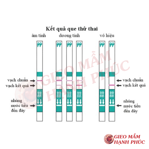 Tại sao que thử thai không lên vạch nào? Gallery 2