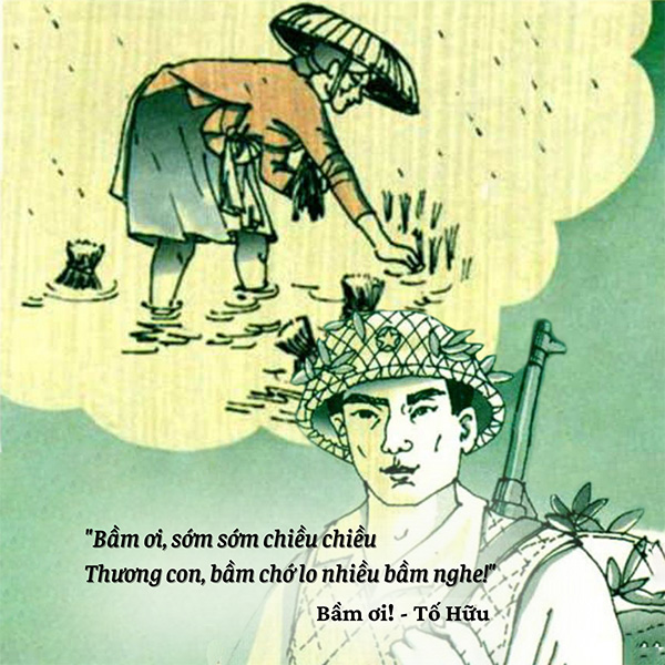 Tác dụng của từ ngữ địa phương Gallery 1