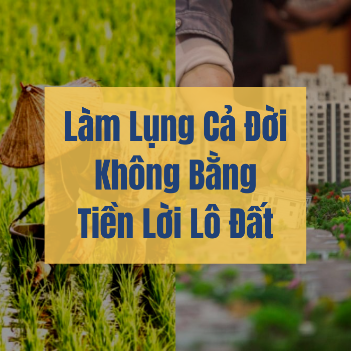 Làm lụng cả đời không bằng tiền lời lô đất