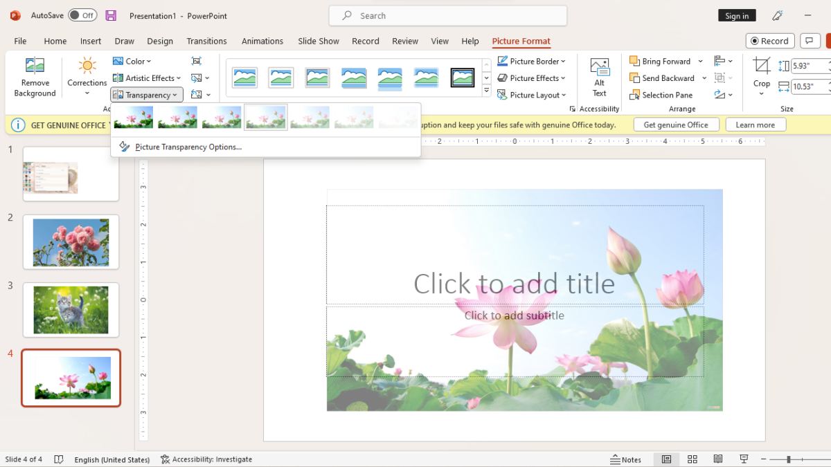 Làm mờ ảnh PowerPoint: Hướng dẫn chi tiết và mẹo hay