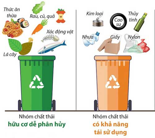 Làm Sao Để Bảo Vệ Môi Trường?