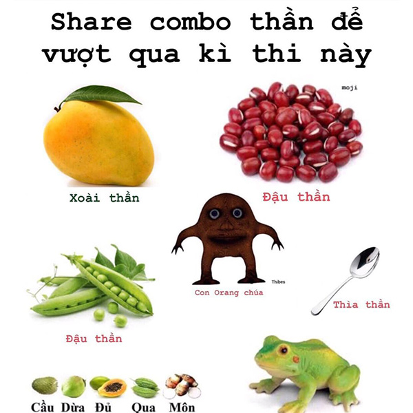 Làm Sao Để May Mắn Trong Thi Cử?