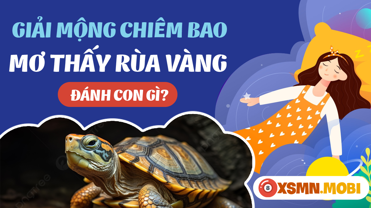 Bắt Được Rùa Đánh Số Mấy? Gallery 2