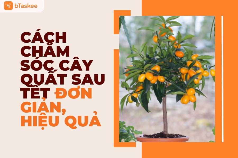 Chăm sóc sức khỏe sau Tết Nguyên Đán: Hướng dẫn toàn diện Gallery 1
