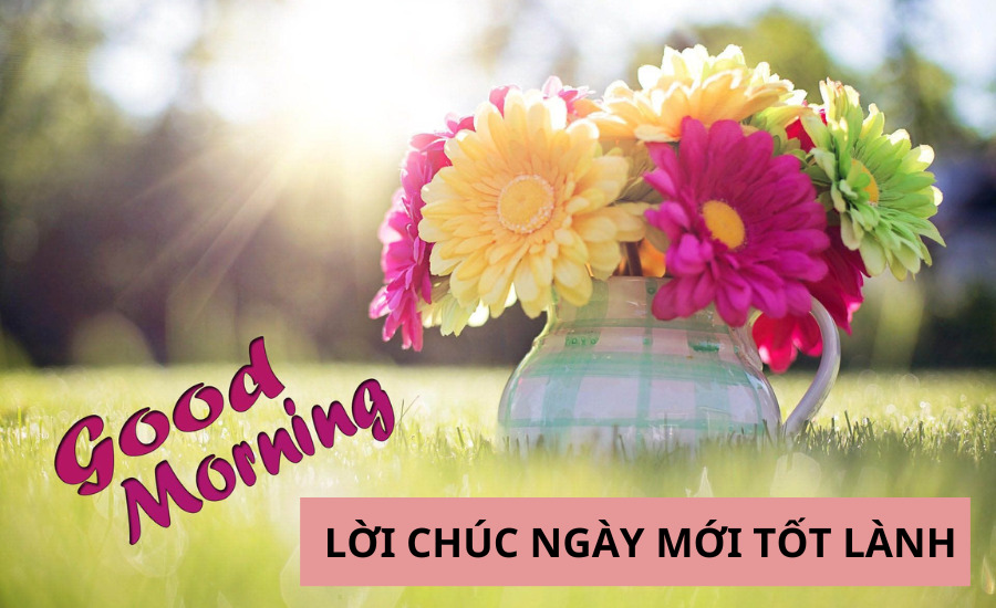 Buổi Sáng Vui Vẻ Gallery 1