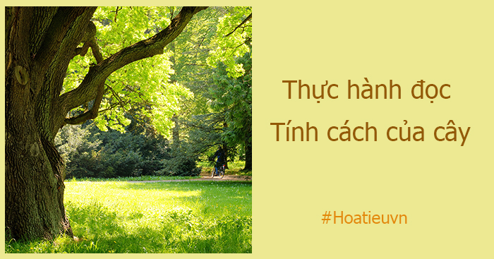Thực hành đọc tính cách của cây Gallery 1