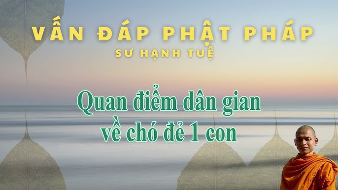 Chó đẻ mùng 1: Ý nghĩa và sự thật Gallery 2