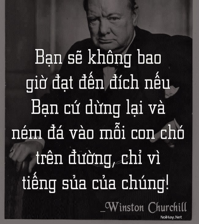 Chó Cứ Sủa, Đoàn Người Cứ Đi: Giải Mã Hành Vi Và Cách Phản Ứng Gallery 2