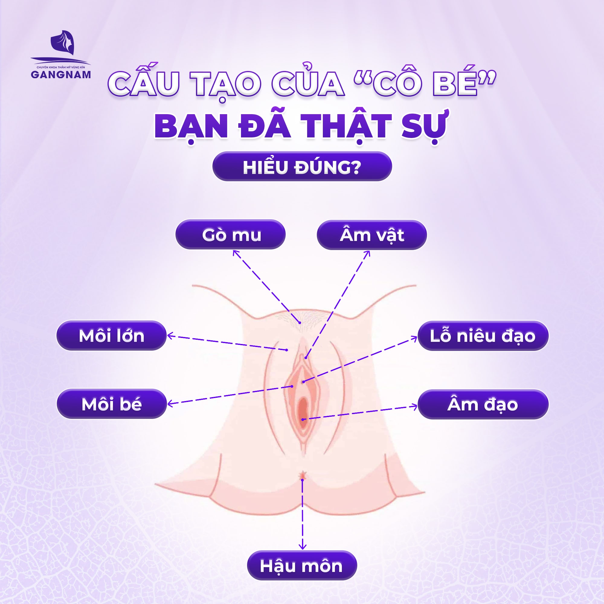 Cái gì của con gái lúc nào cũng ẩm ướt? Gallery 2
