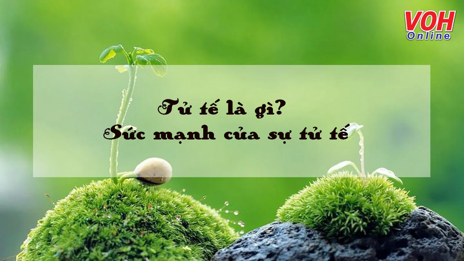 Ý nghĩa của những việc tử tế trong cuộc sống Gallery 2