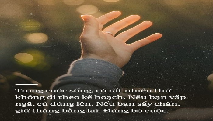 Mọi Sự Cố Gắng Đều Được Đền Đáp Gallery 1