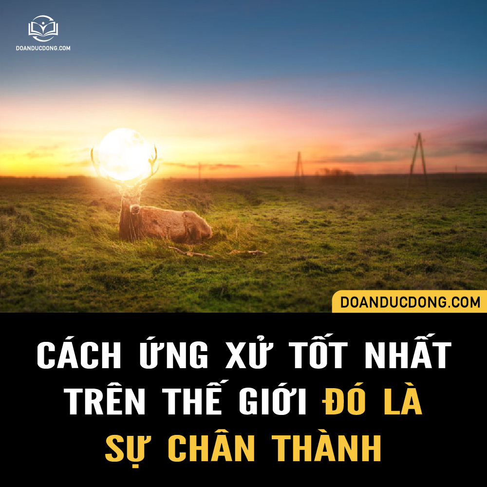 Chân Thành Quá Thì Bị Coi Thường? Gallery 1