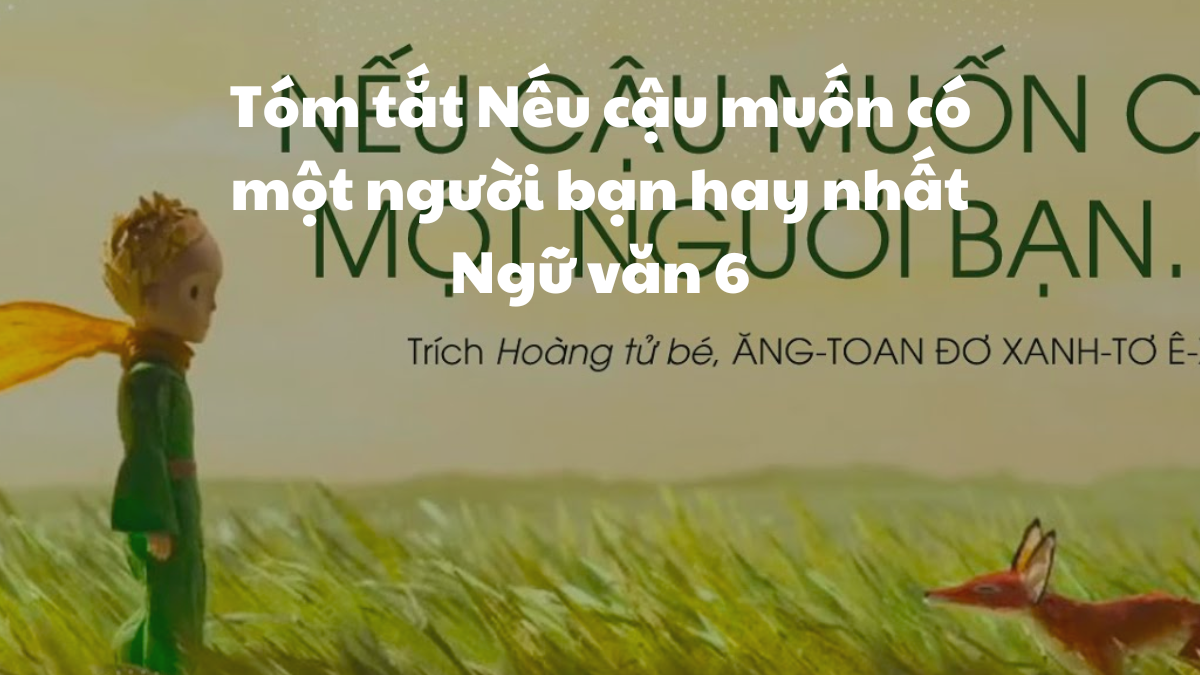 Muốn Có Một Người Bạn? Gallery 1