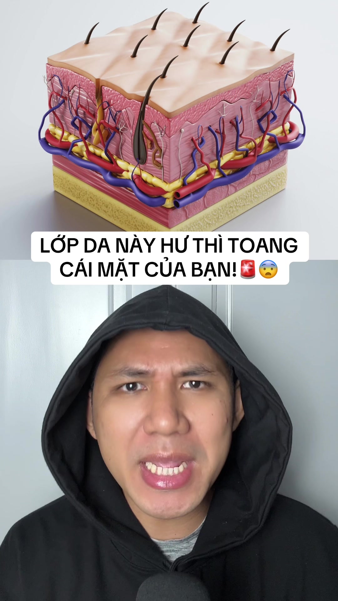 Mơ trong mơ là gì? Gallery 2