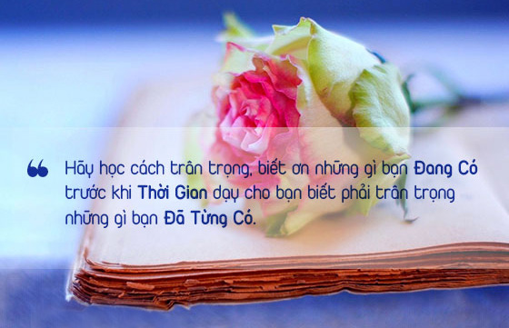 Hãy Trân Trọng Mọi Thứ Trước Khi Nó Biến Mất Gallery 1