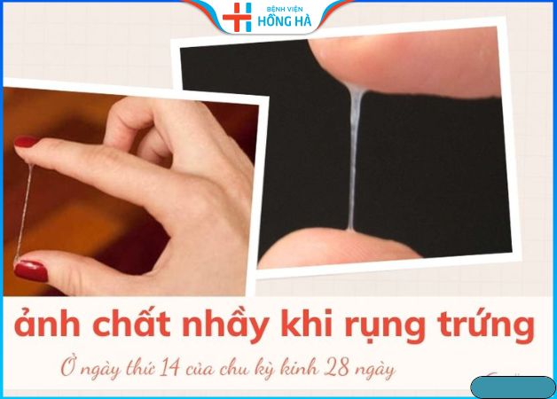 Rụng trứng có màu gì? Gallery 2