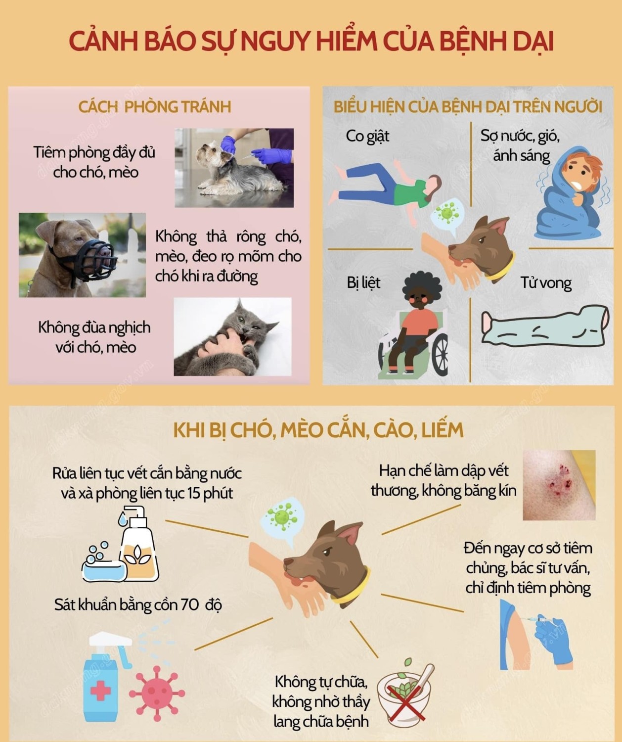 Chó đến nhà ở: Nguyên nhân và cách xử lý Gallery 2