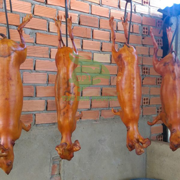 Làm Thịt Thỏ Con